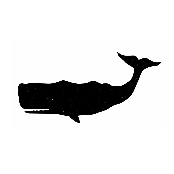736x736 Whale Silhouette Will Amp Luke Silhouette