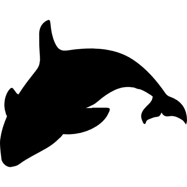 626x626 Orca Silhouette Icons Free Download