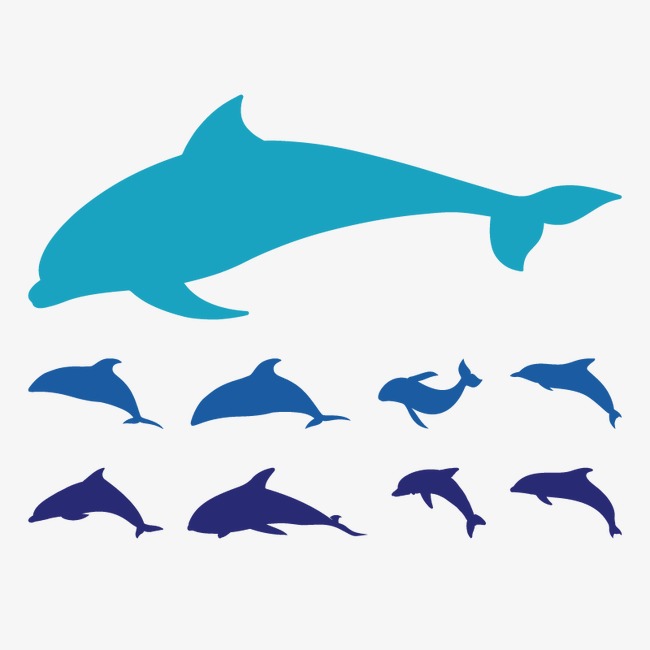 650x650 Fish Silhouette, Sketch, Vector, Whale Png And Vector For Free