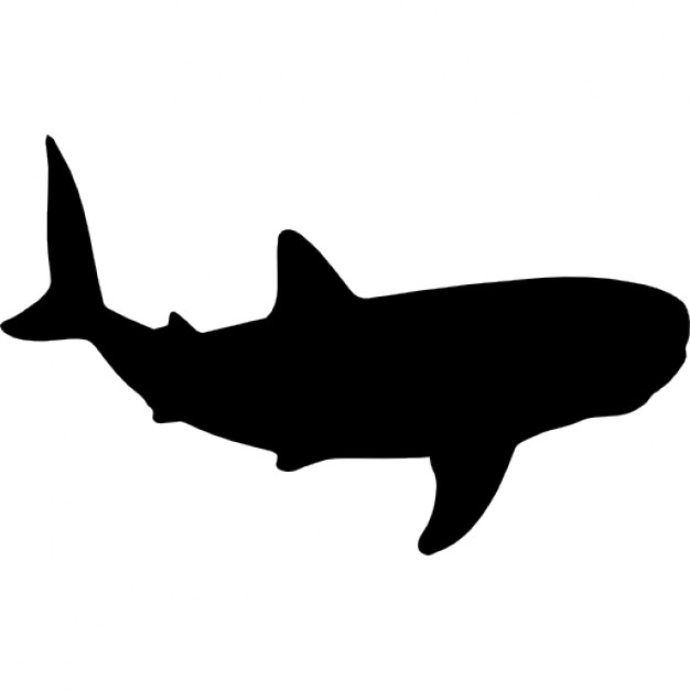 626x626 Whale Shark Shape Icons Free Download