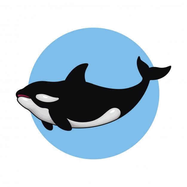 Whale Silhouette Vector at GetDrawings | Free download