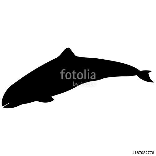 500x500 Porpoise Silhouette Vector Graphics Stock Image And Royalty Free