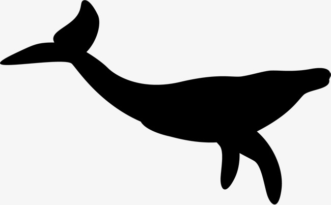 650x403 The Great White Silhouette, Moby Dick, Whale, Mammal Png