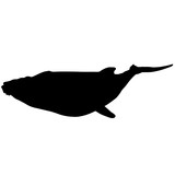 160x160 Whale Silhouette Vector Graphics Stock Image And Royalty Free