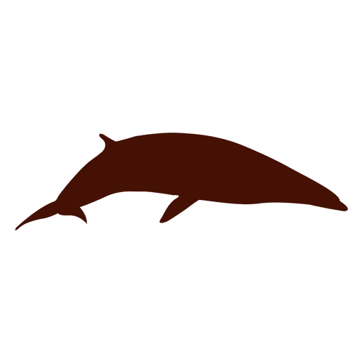 512x512 Whale Silhouette