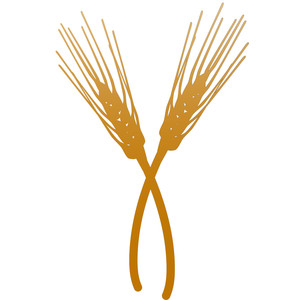 300x300 Silhouette Design Store