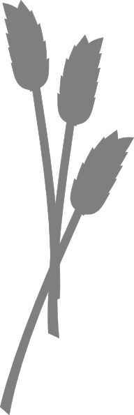 192x595 Wheat Silhouette Clip Art
