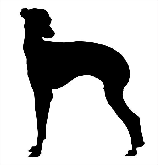554x576 Whippet Silhouette Wall Decal By Wilsongraphics On Zibbet