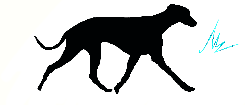 1020x439 Whippet Silhouette By Mel1661