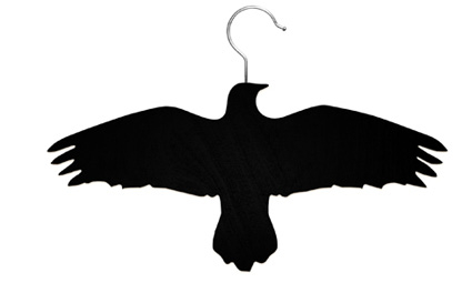 425x255 Lovenordic 14 Questions With Hanna