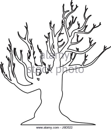 462x540 Birch Tree Stock Vector Images