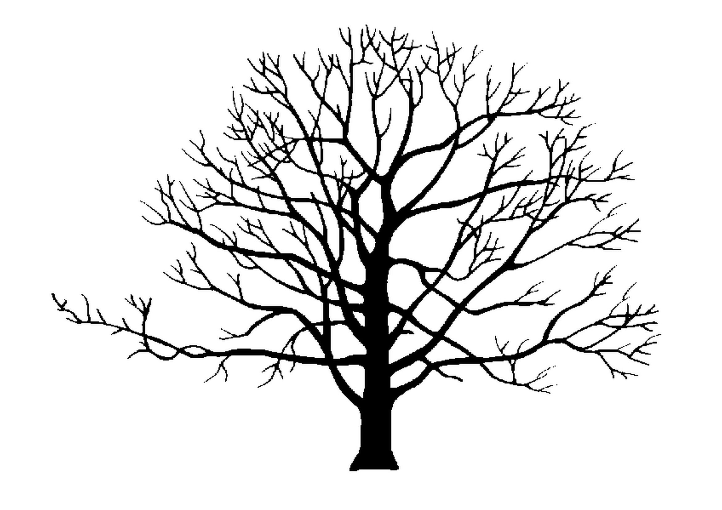 2339x1654 Nos Arbres D'Automne, Facile Et Rapide Tattoo