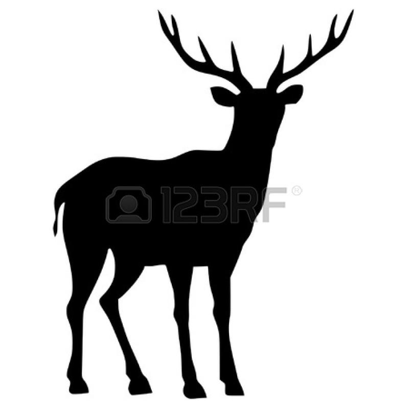 800x800 Whitetail Deer Silhouette Clip Art