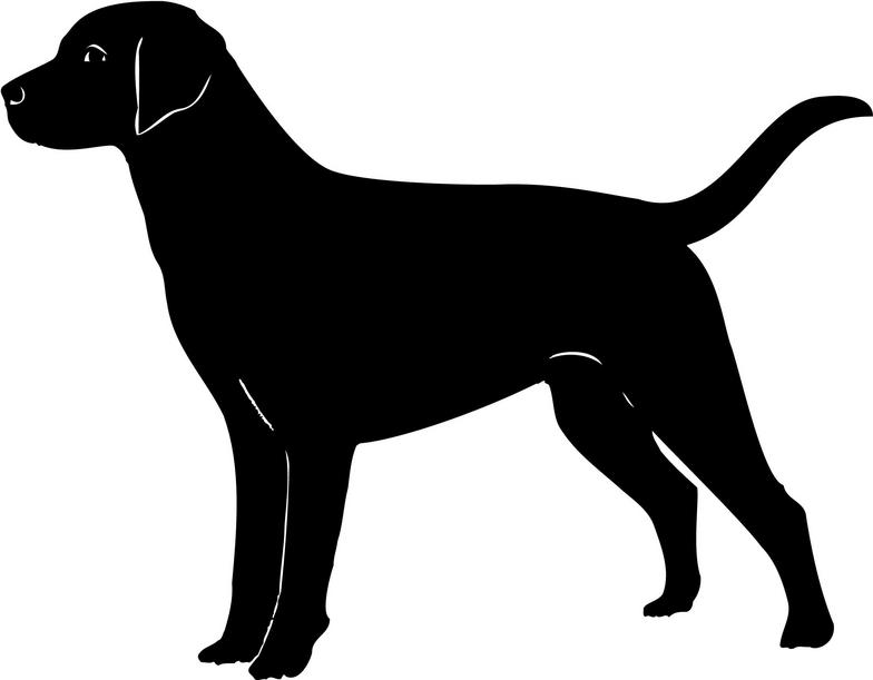 784x611 Black Labrador Silhouette Clipart
