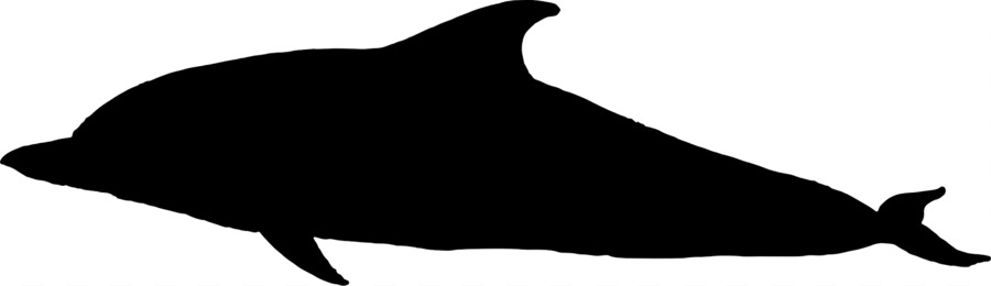 900x260 Dolphin Porpoise Black And White Fauna