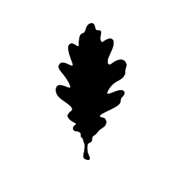 263x262 Free Svg Pdf Png Jpg Eps Oak Leaf Silhouette Cricut