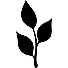 236x235 Learning To Identify Trees Let These Leaf Silhouettes Make It