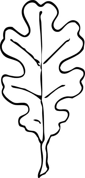 282x589 4 Best Images Of Oak Leaf And Acorn Pattern