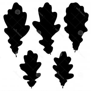 300x300 Stock Illustration Large White Oak Tree Silhouette Lazttweet