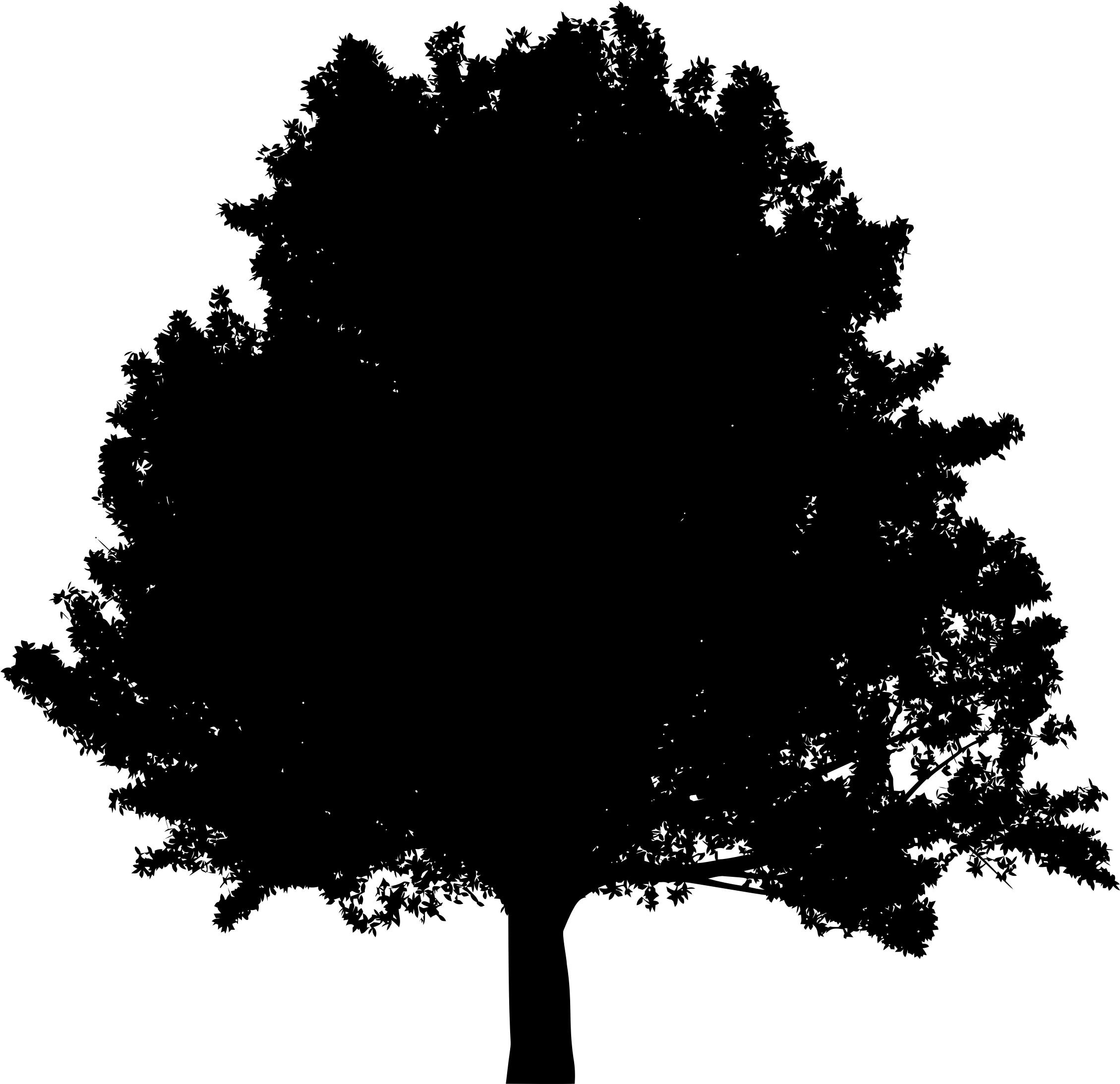 2259x2187 Free Silhouette Icons Png, S Lhouette Images