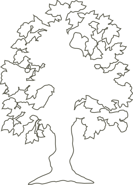 432x600 Oak Tree Outline Clipart
