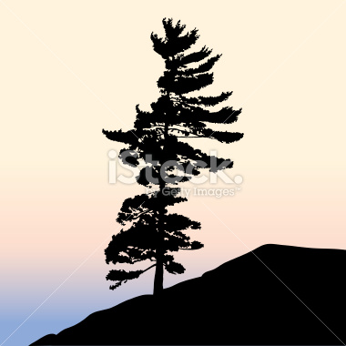 380x380 Pine%20trees%20silhouette Tattoozzz Pine Tree