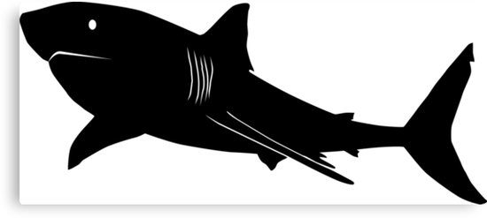 550x247 Great White Shark Silhouette (Black) Canvas Prints By