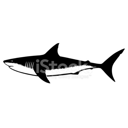 440x440 Great White Shark Silhouette Isolated On White Stock Vector