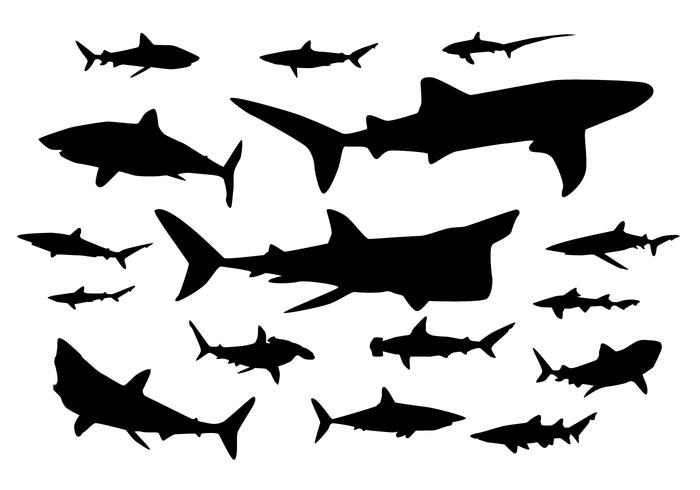 700x490 Shark Silhouette Vectors