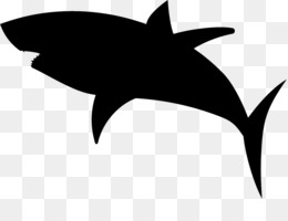 260x200 Free Download Great White Shark Silhouette