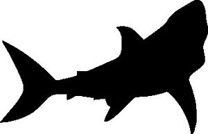 300x194 Great White Shark Silhouette Car Decal Sticker Ebay