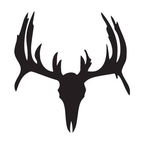 500x500 Whitetail Deer Skull Window Decal