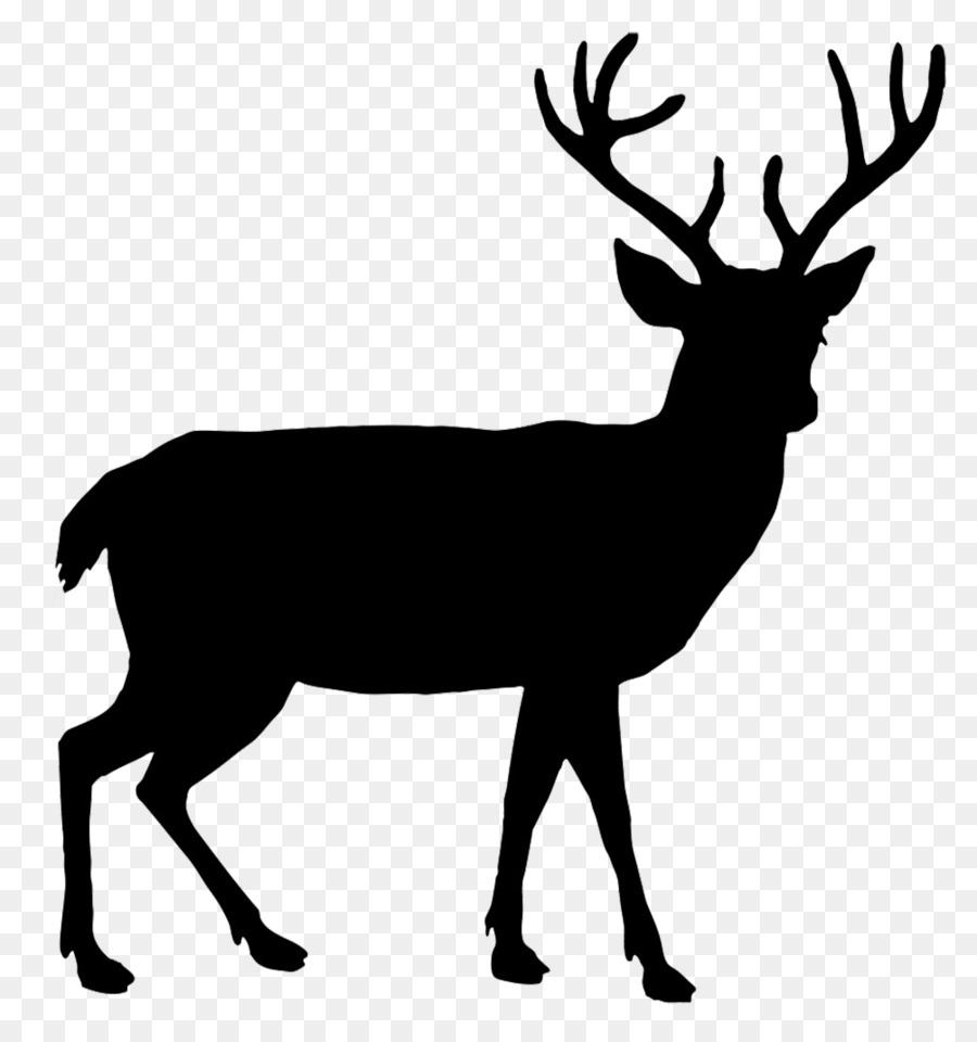 900x960 White Tailed Deer Reindeer Red Deer Elk