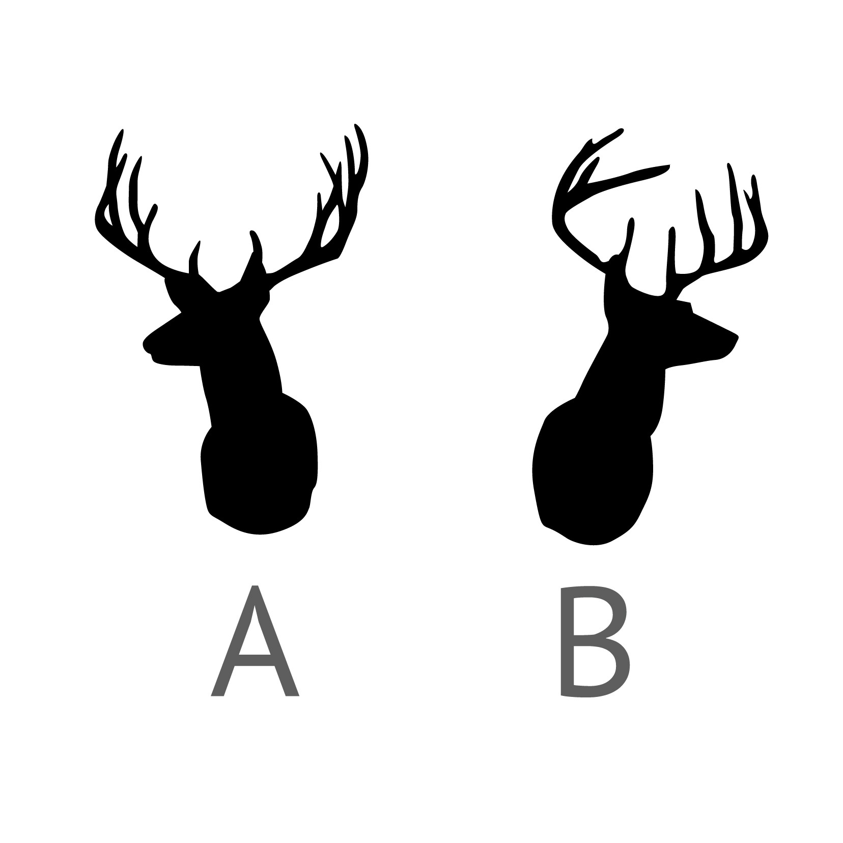 1656x1656 White Tailed Deer Clipart Deer Silhouette Many Interesting Cliparts