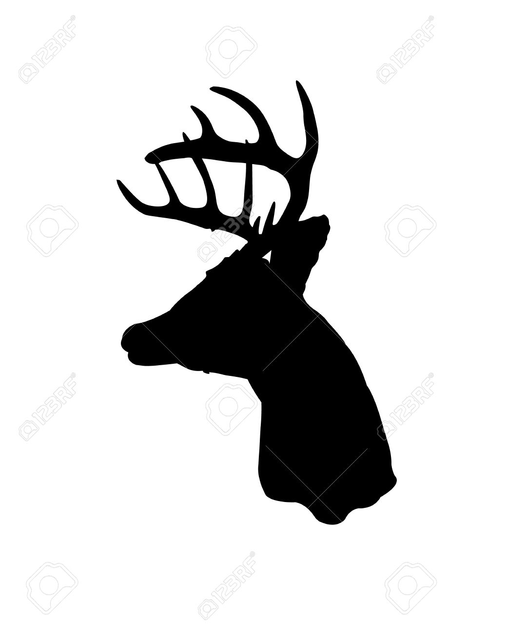 1077x1300 White Tail Head Clipart Collection