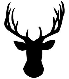 236x270 Google Image Result