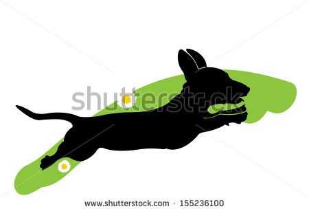 450x307 Stock Vector Vector Silhouette Of Running Dachshund Dog On