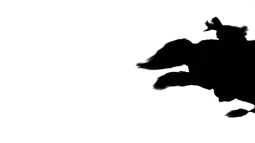 852x480 Lion Run,endangered Wild Animal Wildlife Running Sketch Silhouette