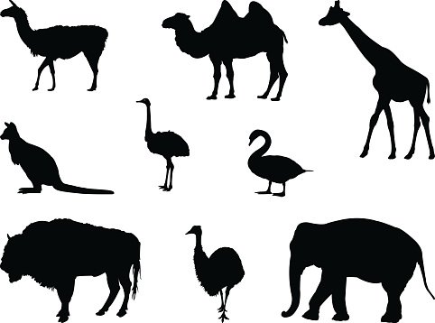 482x358 Wild Animals Silhouette Premium Clipart