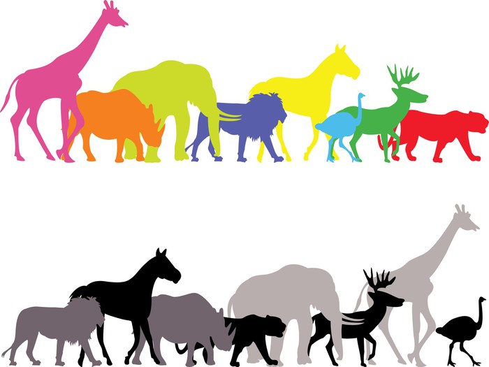 700x525 Wild Animal Silhouette Wall Mural We Live To Change