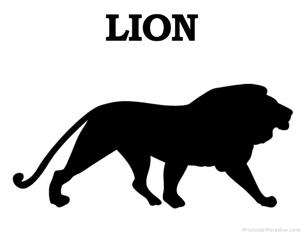 620x479 Printable Lion Silhouette