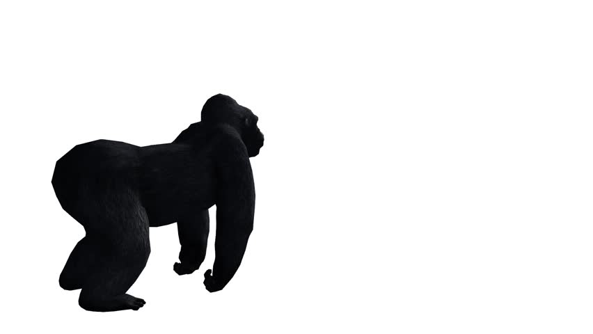 852x480 Tiger Open Mouth Roar Sketch Silhouette,wildlife Animals Habitat