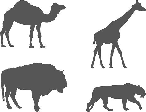 474x365 Wild Animals Silhouette Premium Clipart