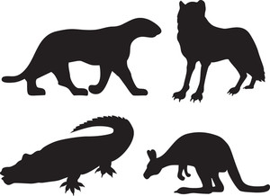 300x218 Wild Animals On White Illustration Royalty Free Stock Image