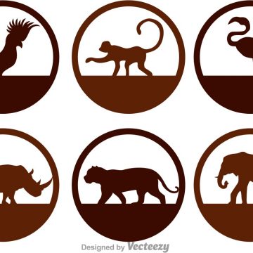 360x360 Rooster Silhouettes Archives My Graphic Hunt