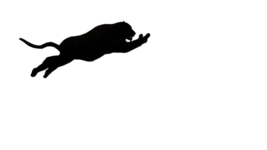 852x480 Lion Run,endangered Wild Animal Wildlife Running Sketch Silhouette