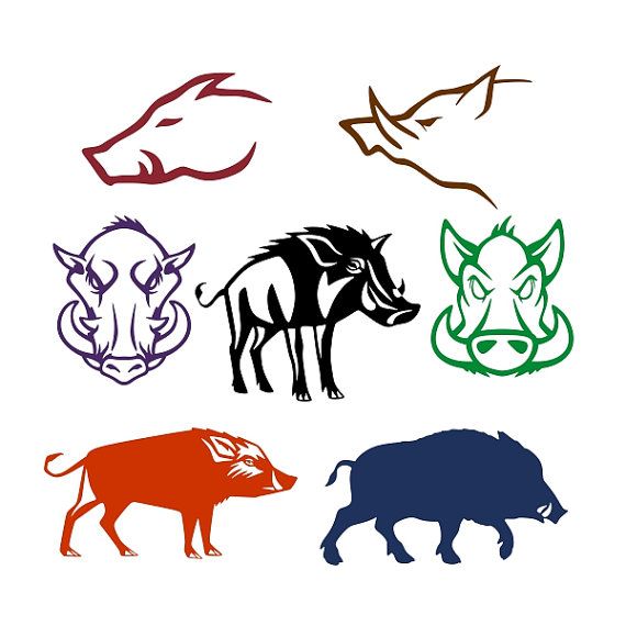 570x570 Wild Boar Pig Cuttable Designs Svg, Dxf, Eps Use With Silhouette