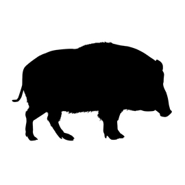 270x270 Wild Boar Silhouette Stencil Free Stencil Gallery