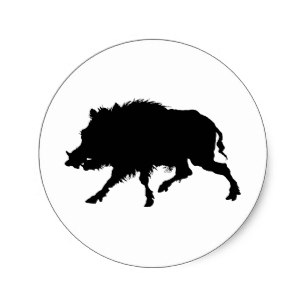 307x307 Wild Boar Stickers Zazzle