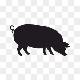 260x260 Boar Png And Psd Free Download